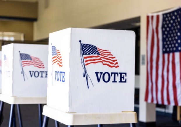 Additional Voting Image